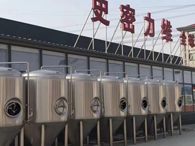 崇义精酿啤酒设备厂—如何判断精酿啤酒设备的密封件需要更换？